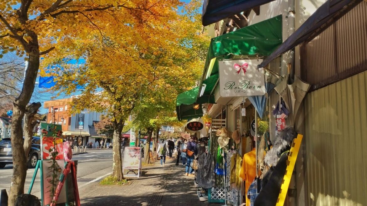 【4K】Cozy Autumn Walk in Karuizawa Japan 2022