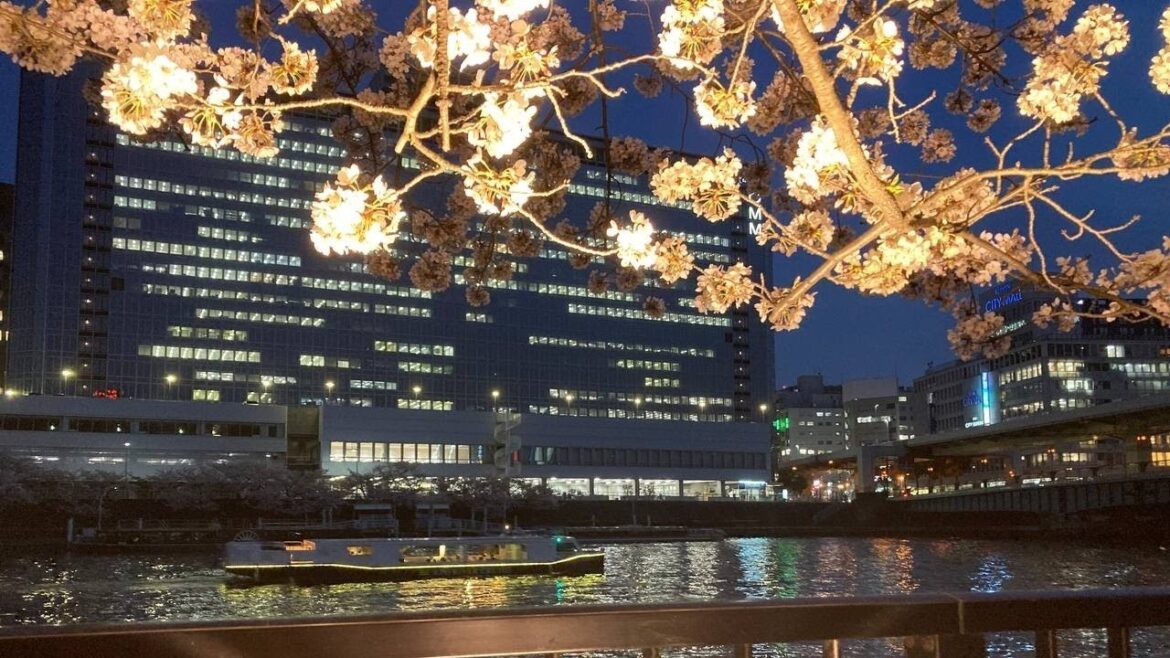 Travelling to see spring flower at Osaka in Japan together l Momjptravel Travelling to see spring flower at Osaka in Japan together l Momjptravel