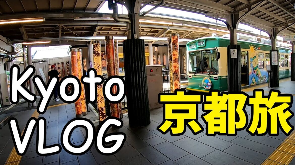 【京都旅行vlog】kyoto vlog 嵐山のヒョンデIONIQ 5　 昼食を終えブラブラ土産物屋を眺めつつ途中、鶴屋長生 嵐山店で補給食として生麩まんじゅうを購入しました