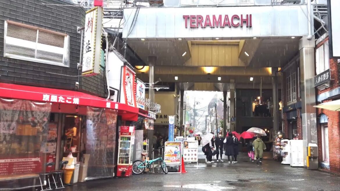 22年11月13日 雨の降る日曜日の京都を歩く 四条大橋,先斗町,木屋町,柳小路,新京極,寺町商店街,三条通,烏丸三条 Walk around Kyoto city,Japan vlog