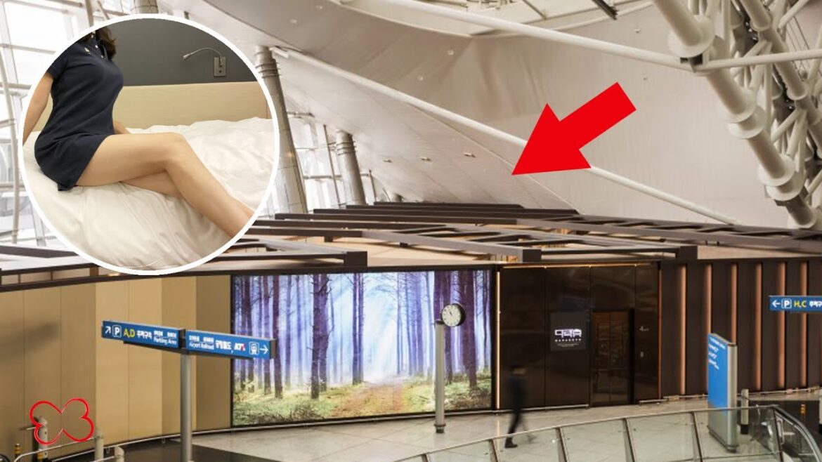 Incredible! 🇰🇷Korea's first luxury capsule💊 hotel🏨 in Incheon Airport✈️ Incredible! 🇰🇷Korea's first luxury capsule💊 hotel🏨 in Incheon Airport✈️