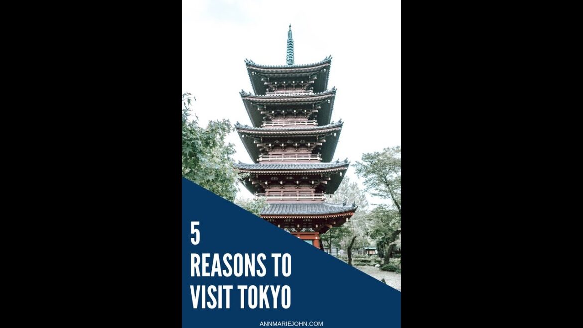5 Best Reasons to visit Japan  #shorts #short #japan #travel