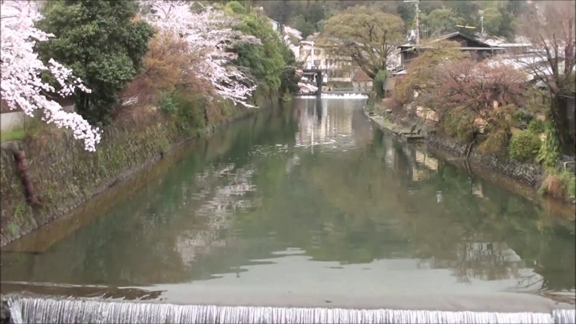 Our Japan Trip Day 4, Arashiyama and Iwatayama park