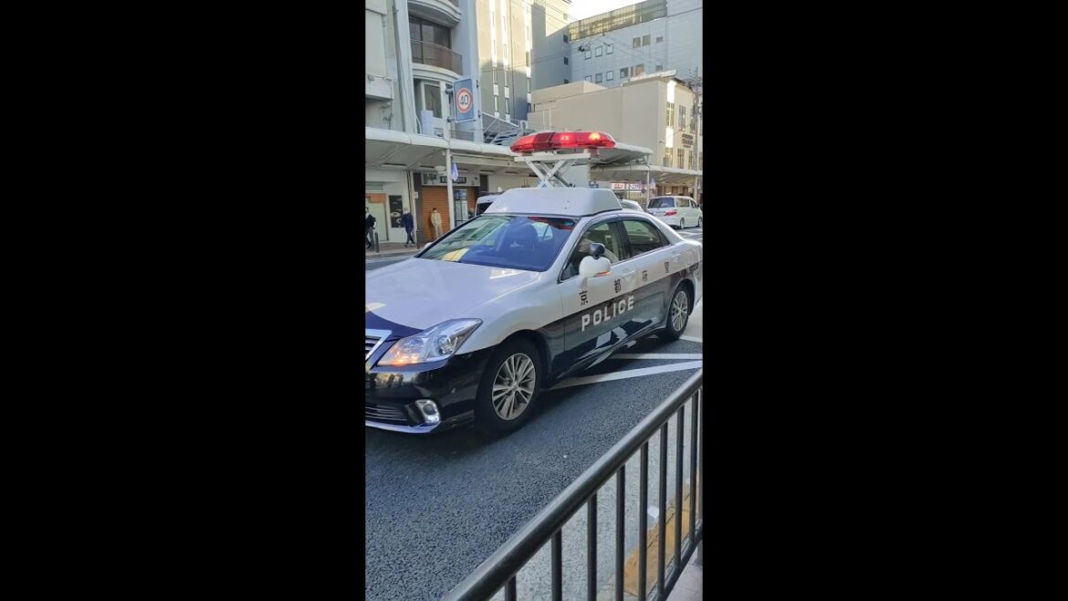 Cute tiny cars of Japan and police car