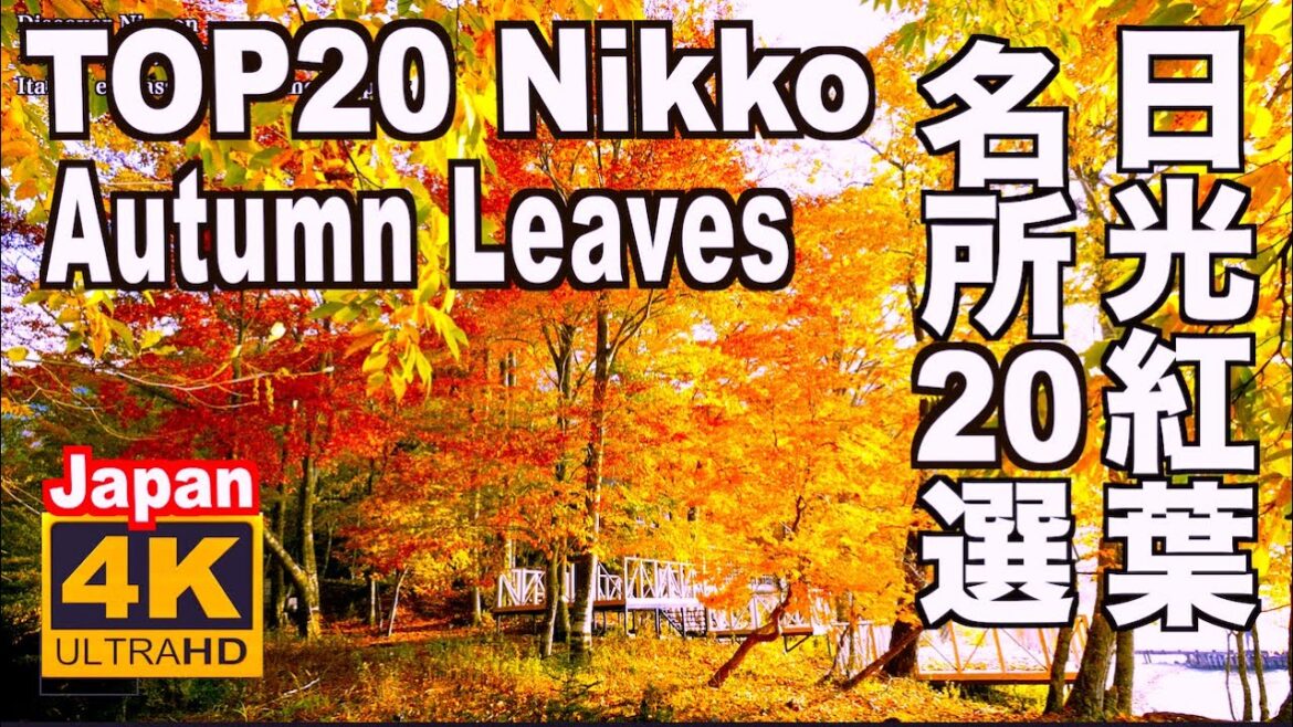4K 日光紅葉の名所TOP20 Autumn Leaves Spots in Nikko 日光観光 旅行 紅葉の名所 Japan trip 日本の紅葉 中禅寺湖 華厳の滝 竜頭の滝 小田代原 いろは坂 4K 日光紅葉の名所TOP20 Autumn Leaves Spots in Nikko 日光観光 旅行 紅葉の名所 Japan trip 日本の紅葉 中禅寺湖 華厳の滝 竜頭の滝 小田代原 いろは坂
