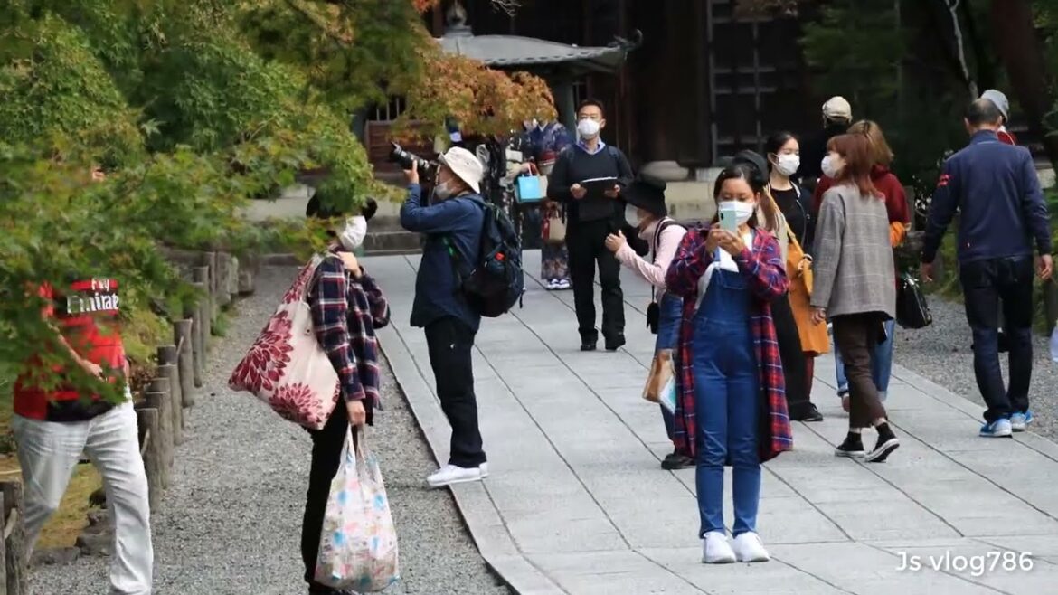 kyoto temple | travel in japan| KYOTO JAPAN