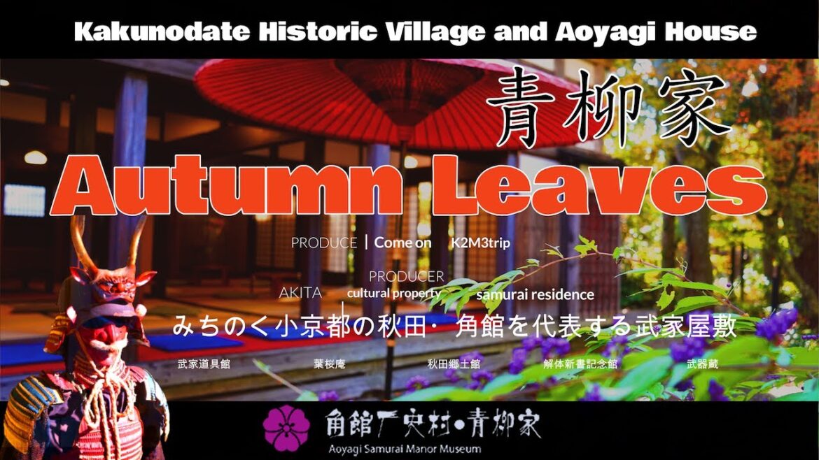 みちのく小京都の秋田・角館を代表する武家屋敷「青柳家」紅葉ど真ん中.Samurai residence “Aoyagiya” in the middle of autumn leaves. みちのく小京都の秋田・角館を代表する武家屋敷「青柳家」紅葉ど真ん中.Samurai residence "Aoyagiya" in the middle of autumn leaves.