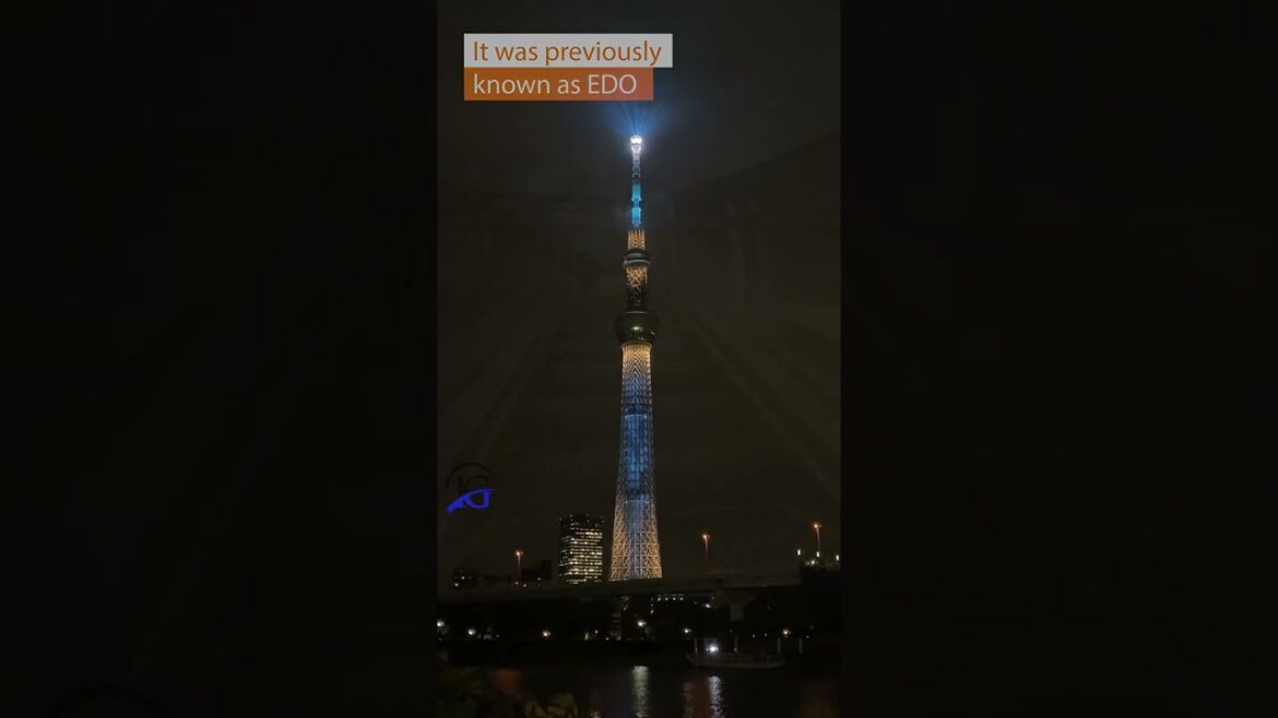 TRAVEL DESTINATION - TOKYO | SHORTS | INFOGENIC TRAVEL