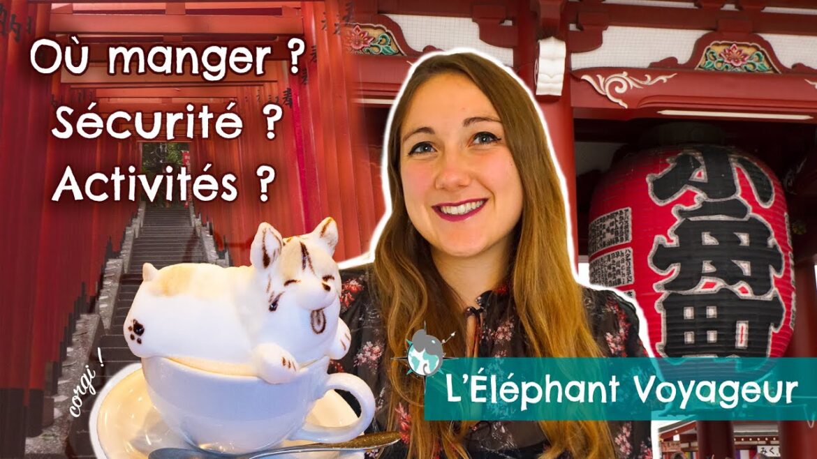 GUIDE VOYAGE TOKYO (2/2): Sécurité, activités, et bonnes adresses (Japon 2022)