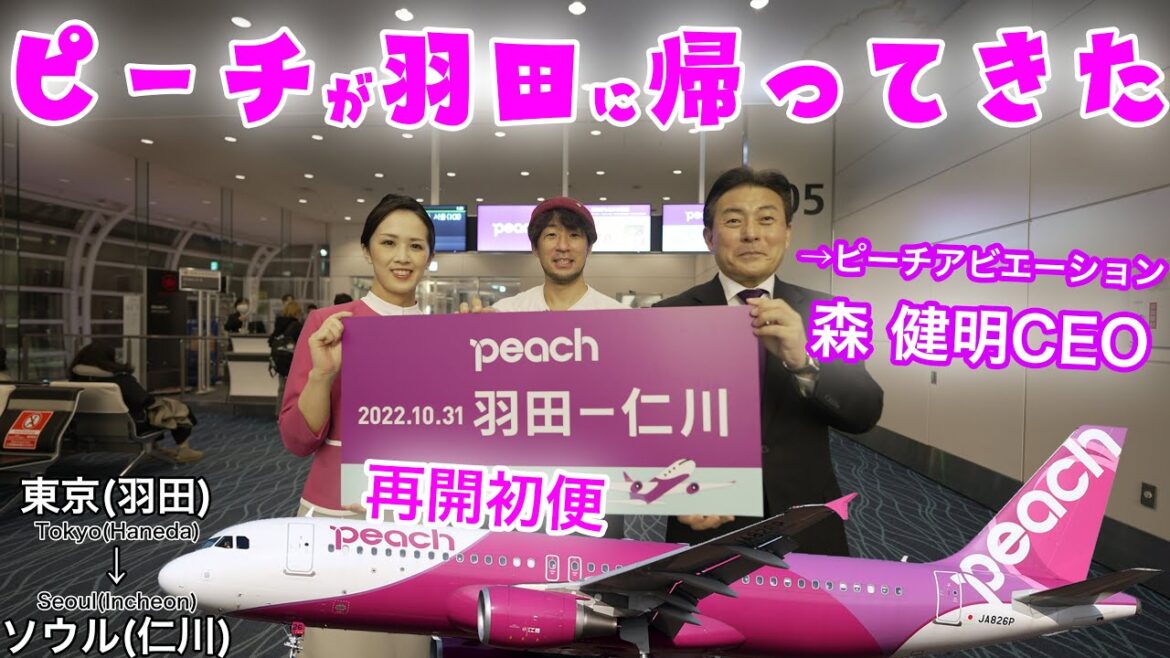 週末弾丸旅に使える便が復活！お仕事休めない方必見！ピーチ 東京(羽田)→ソウル(仁川)
