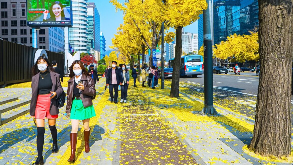 [4K HDR] 종로 거리_단풍으로 물든 종로 청계천 서울시청 광화문 까지 걷기 | Seoul Walk, Trip Korea