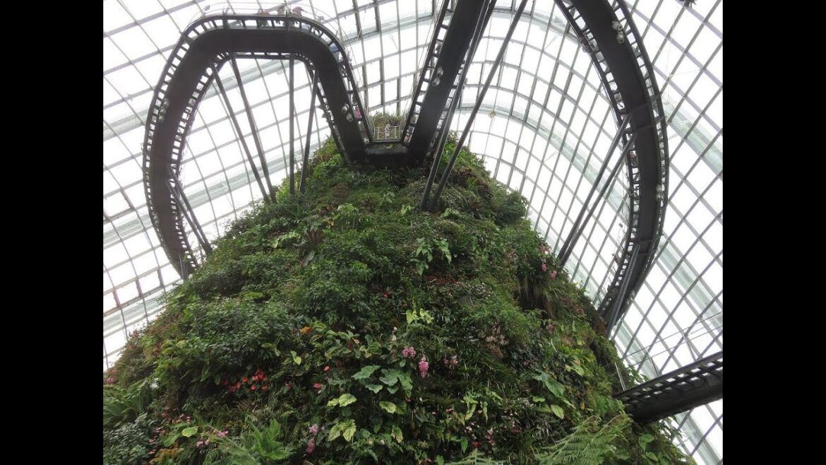Inside Cloud forest at garden by the bay,singapore Inside Cloud forest at garden by the bay,singapore