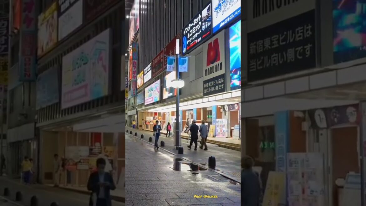 Tokyo Night Walking Tour ✌️☺️