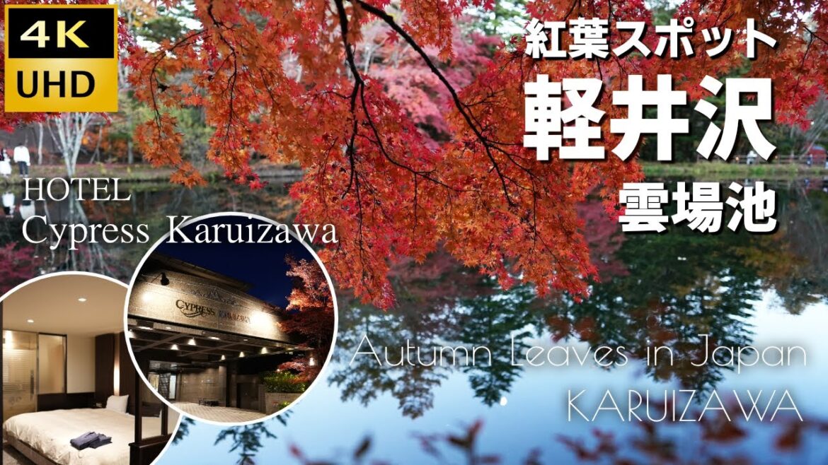 軽井沢 紅葉 2022 雲場池　ホテルサイプレス軽井沢