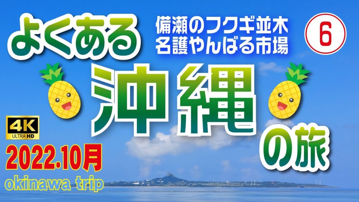 sub) 4K【⑥よくある沖縄の旅】備瀬のフクギ並木とやんばる市場（3日目/前編）😎【沖縄旅行】レンタカーで巡る3泊4日の旅🚗【沖縄観光】　#6