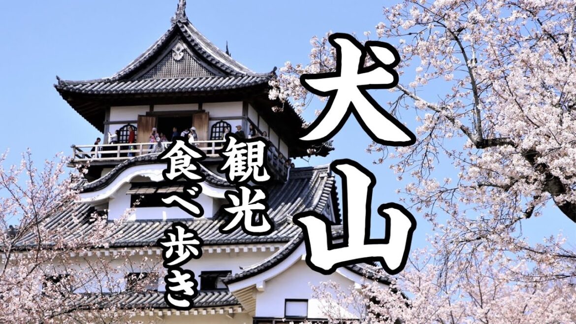 【 愛知・犬山 】22年3月 お花見観光〜犬山城と城下町食べ歩きグルメ、愛知の桜名所めぐり〜 名古屋 旅行