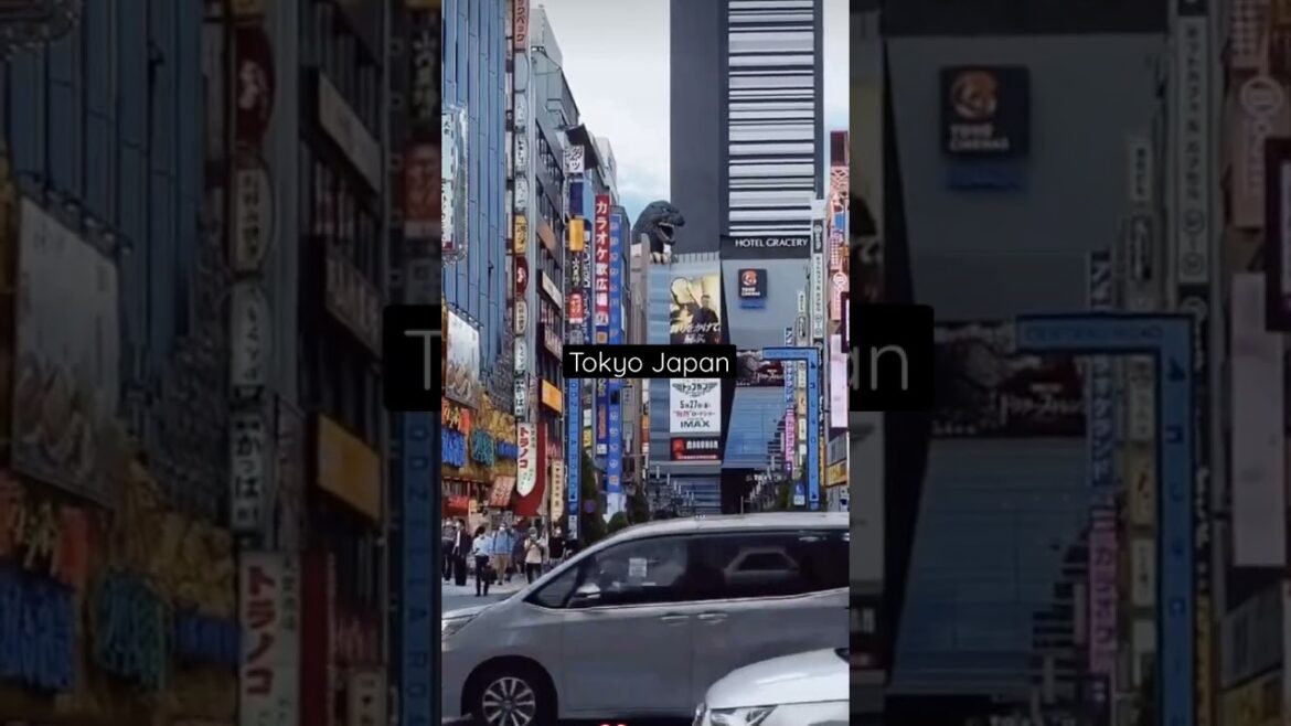 Tokyo City | #japan #foreign #trending #youtube #travel #tokyo #shorts