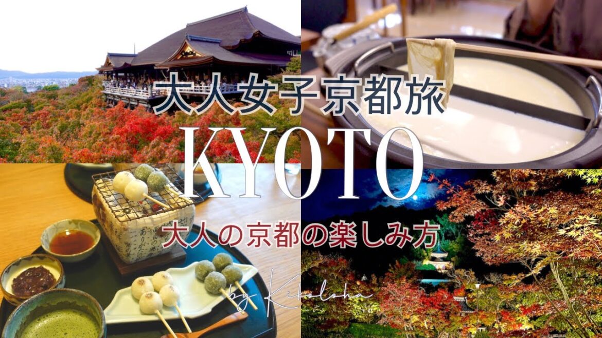 【Vlog】秋の京都日帰り旅🍁大人女子のおとなの京都の楽しみ方 | 南禅寺と清水寺近辺｛SUB｝