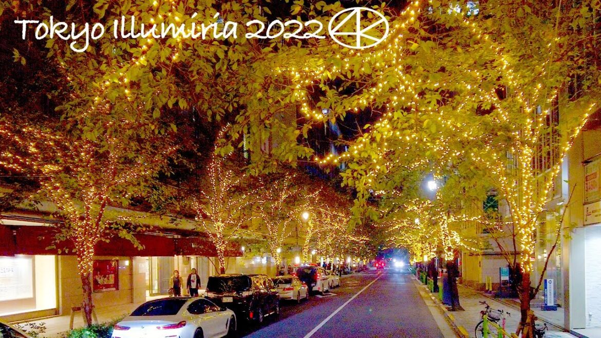 4K 日本橋イルミネーション2022 Tokyo Illumiria さくら通り 東京Japan