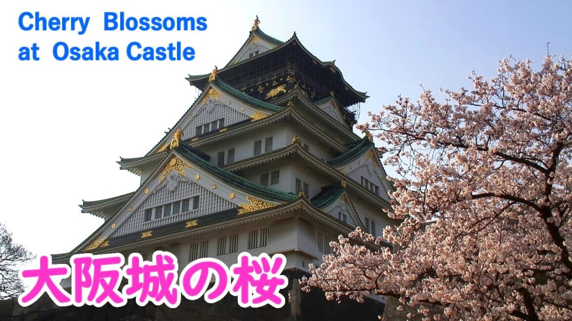 大阪府 大阪城公園・万博記念公園の桜絶景 ( ヒーリング音楽 )  / Cherry Blossoms at Osaka Castle ( Osaka, Japan )【日本の桜名所】