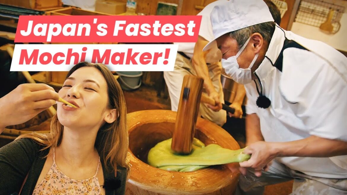 Cute Deer and Top Speed Mochi in Nara! Cute Deer and Top Speed Mochi in Nara!