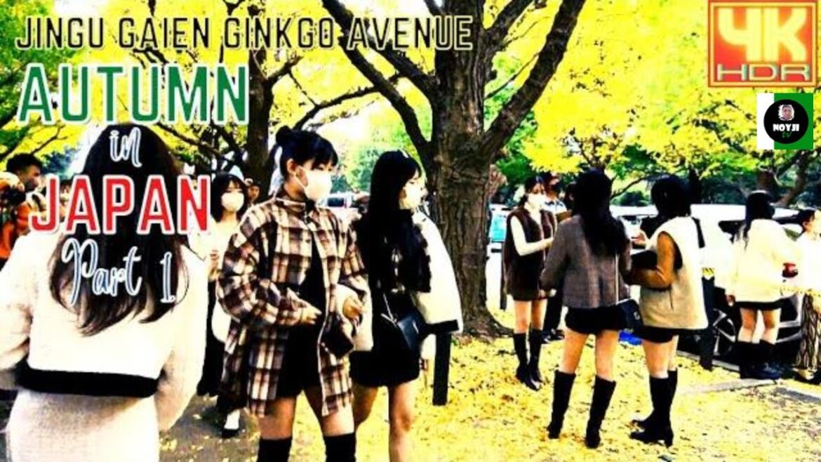 AUTUMN IN JAPAN 1 | JINGU GAIEN GINKGO AVENUE | 明治神宮外苑 | JAPAN WALK | 4K @NOYJI TV AUTUMN IN JAPAN 1 | JINGU GAIEN GINKGO AVENUE | 明治神宮外苑 | JAPAN WALK | 4K @NOYJI TV
