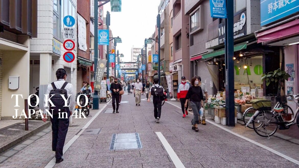 4K Tokyo walking tour – Gotanda, Togoshi Ginza | Japan Vlog 2022 (五反田, 戸越銀座) 4K Tokyo walking tour - Gotanda, Togoshi Ginza | Japan Vlog 2022 (五反田, 戸越銀座)