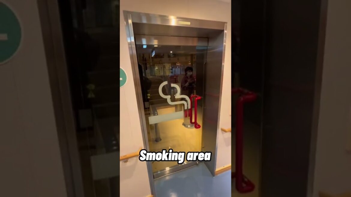 【Moving Capsule Hotel】 Introducing Japan's Ferry Facilities #shots  #ferry #Japan #solo travel