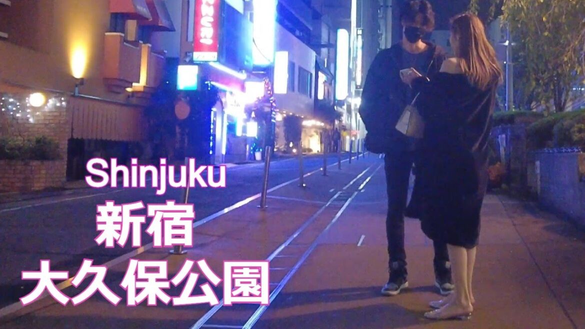 モデルのようなスタイル…新宿大久保公園 nightwalk in Shinjuku 2022年11月15日【4K】 モデルのようなスタイル…新宿大久保公園 nightwalk in Shinjuku 2022年11月15日【4K】