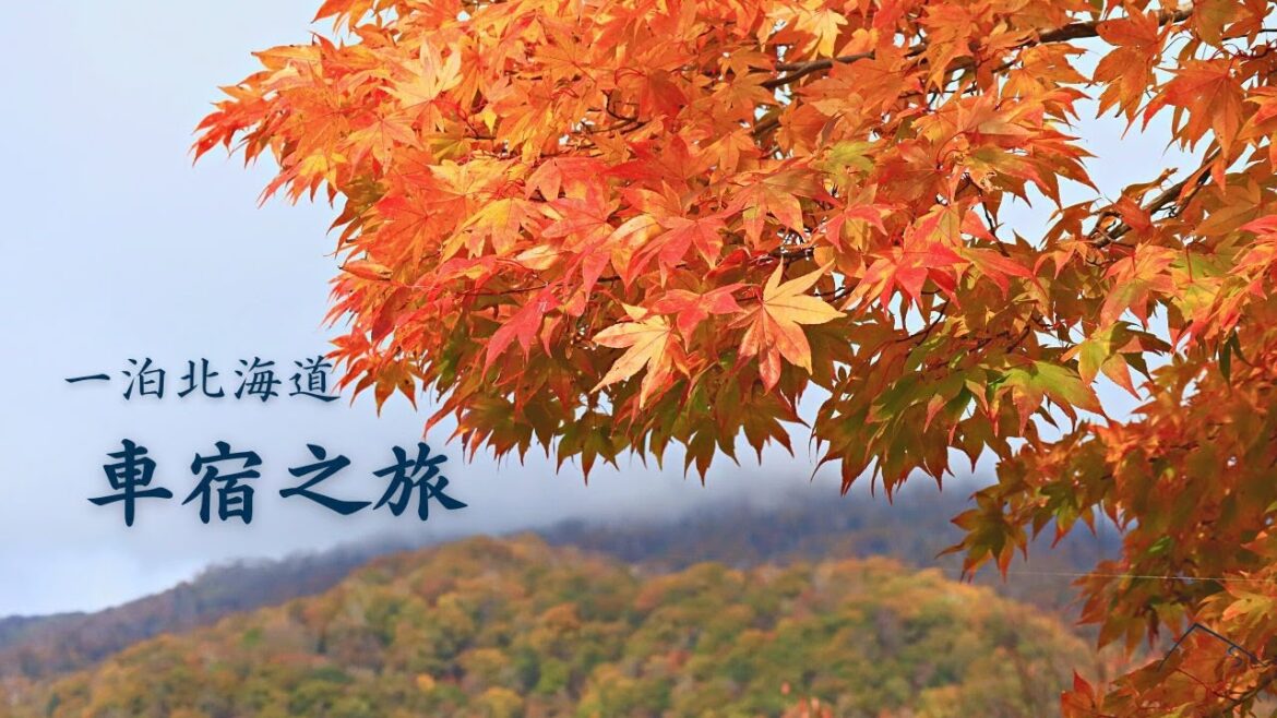 單人一泊的北海道秋日,車宿之旅就該如此自由 | 4K | 千歳、恵庭 | Traveler 單人一泊的北海道秋日,車宿之旅就該如此自由 | 4K | 千歳、恵庭 | Traveler