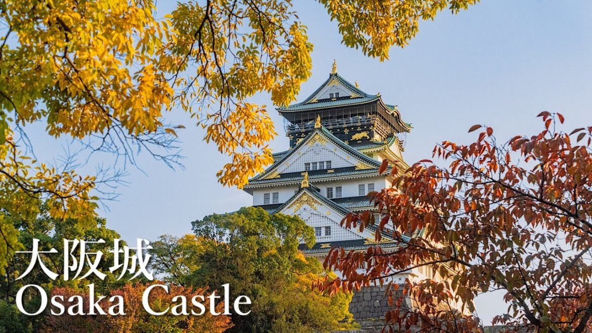 大阪城の紅葉が見頃です Osaka Walk - Autumn leaves of Osaka Castle 4K HDR Japan