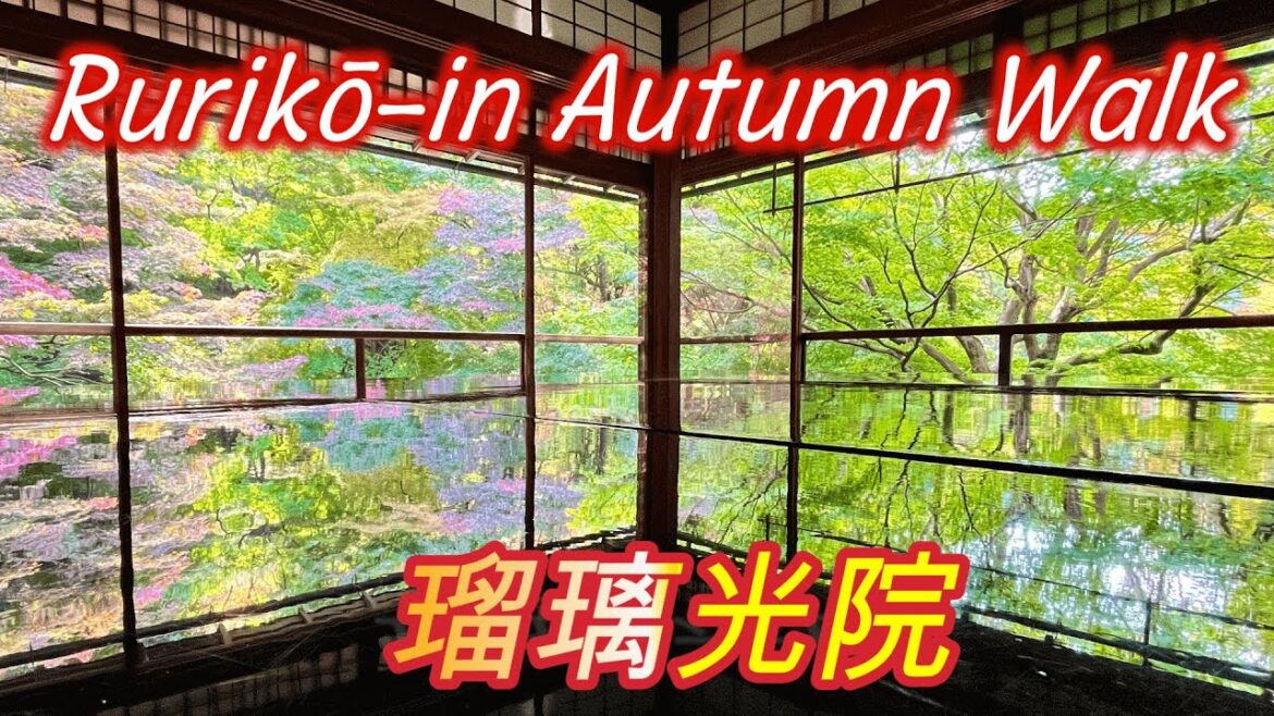 Stunning Views! Ruriko-in temple walkthrough in Autumn | 瑠璃光院 秋の特別参拝 2022