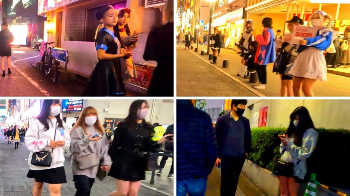 【4k60】夜の新宿歌舞伎町＆大久保公園を散歩！Shinjyuku Kabukicho walk Tokyo Japan