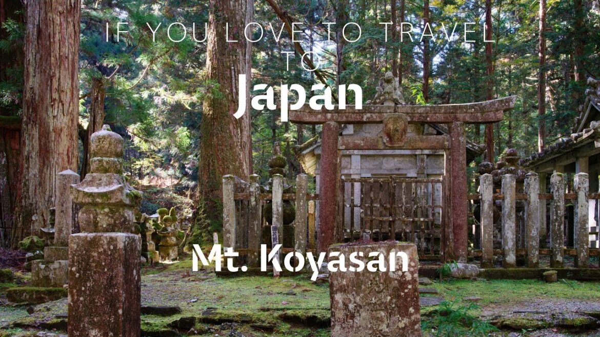 #9) Travels to Mt. Koyasan in japan.  Main Camera: GFX100S, Lens: GF32-64mmF4, Video: GoPro10