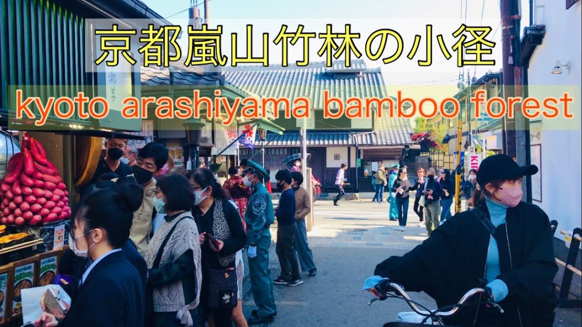京都嵐山竹林の小径🍁 kyoto arashiyama bamboo 2022年11月12日(土)3/3