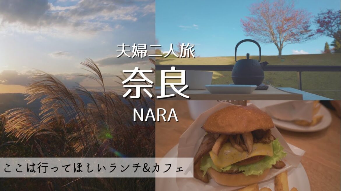 【夫婦旅】秋の奈良で絶品ランチと最高の景色を堪能｜ランチ&カフェ｜若草山｜Japan travel