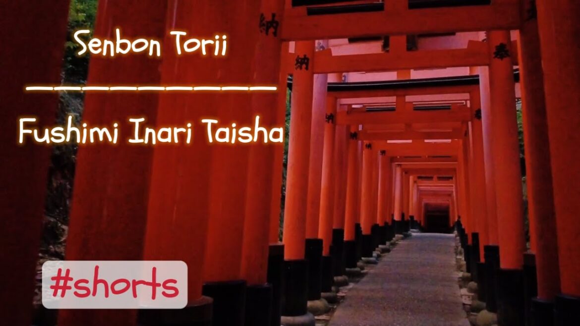 Senbon Torii|Fushimi Inari Taisha|Torii Gates|Shrine in Kyoto Japan|#shorts #fushimiinaritaisha Senbon Torii|Fushimi Inari Taisha|Torii Gates|Shrine in Kyoto Japan|#shorts #fushimiinaritaisha