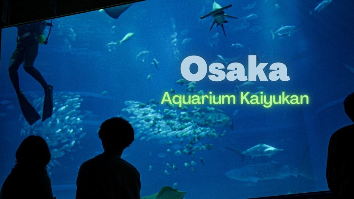 Osaka's Overlooked Attraction | Osaka Aquarium Kaiyukan Osaka's Overlooked Attraction | Osaka Aquarium Kaiyukan