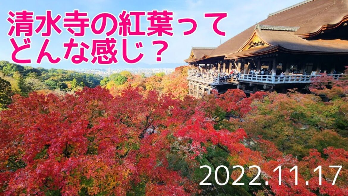 🍁京都紅葉🍁清水寺の紅葉ってどんな感じ？　Kyoto,Kiyomizudera,temple