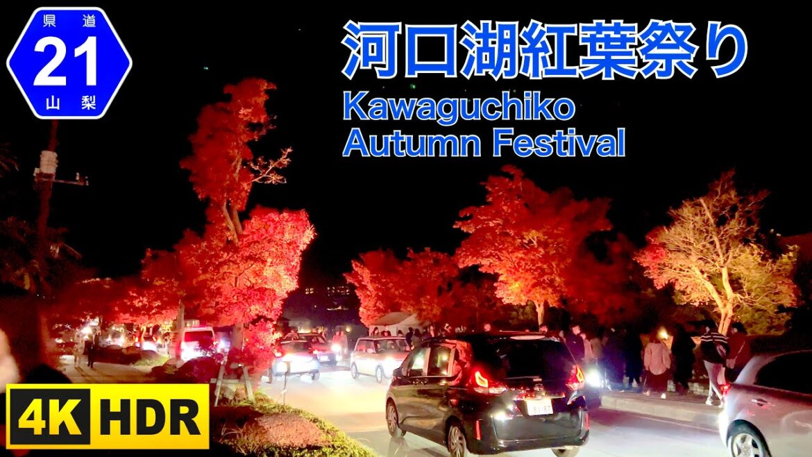 河口湖紅葉祭りの県道21号。紅葉ライトアップ(もみじライトアップ)(4K HDR) Kawaguchiko Autumn Festival route 21 maple ligthup