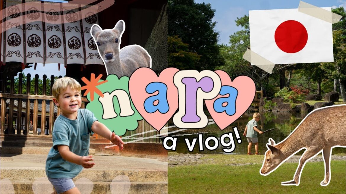 HEADBUTTED BY A DEER! ๐ฏ๐ต (in Nara, Japan) HEADBUTTED BY A DEER! ๐ฏ๐ต (in Nara, Japan)