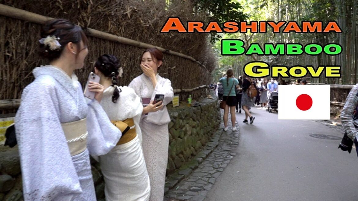 Arashiyama / Kyoto / Japan