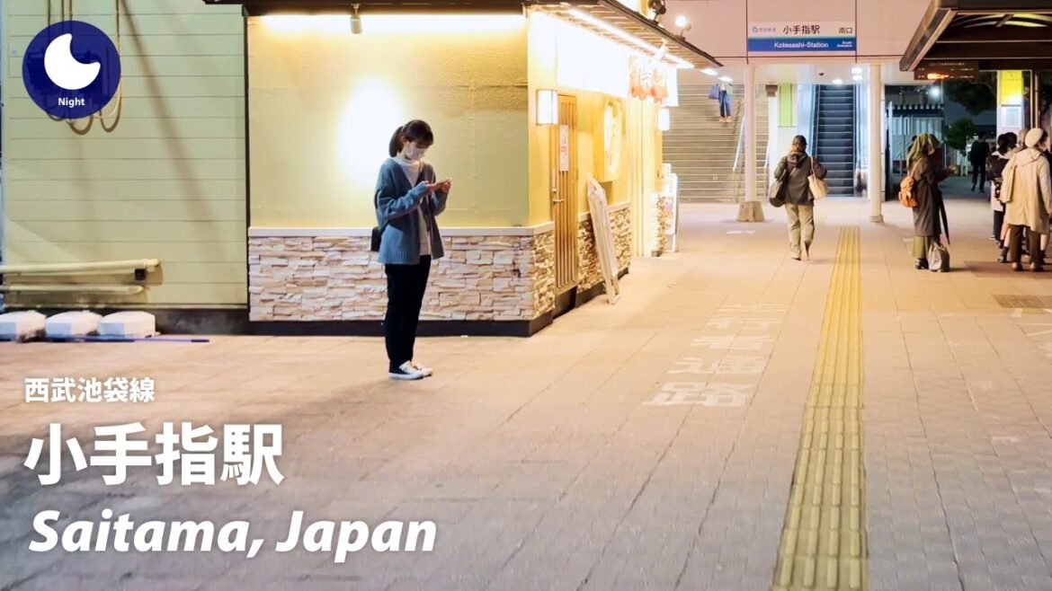 ⁴ᴷ Saitama: Kotesashi Station (小手指駅)  / Seibu Ikebukuro Line : Japan Walking Tour 2022