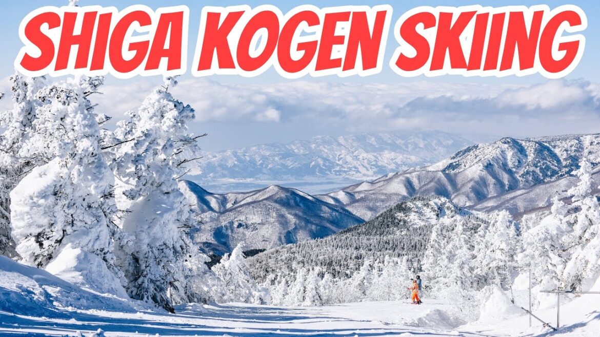 Shiga Kogen Skiing || 氏が こげん