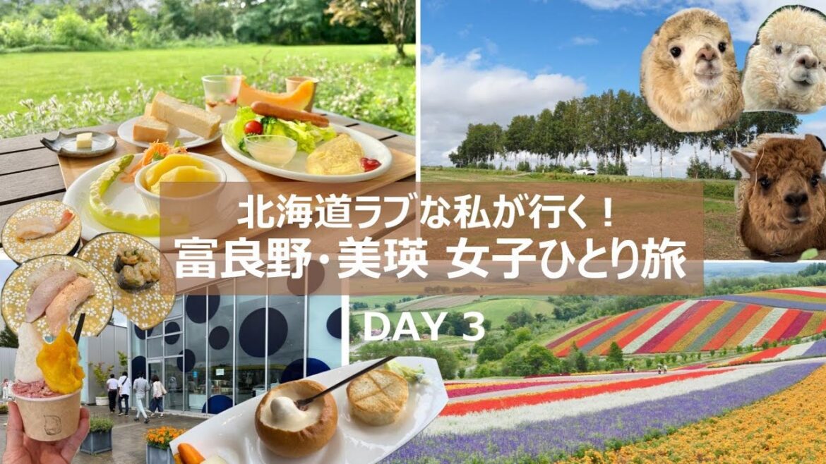 北海道ラブ♡な私が行く！富良野・美瑛 女子ひとり旅【2泊3日】3日目｜絶景とグルメ旅｜最高の朝食｜四季彩の丘｜パッチワークの路で絶景ドライブ｜絶品チーズフォンデュ｜新千歳空港のお土産紹介