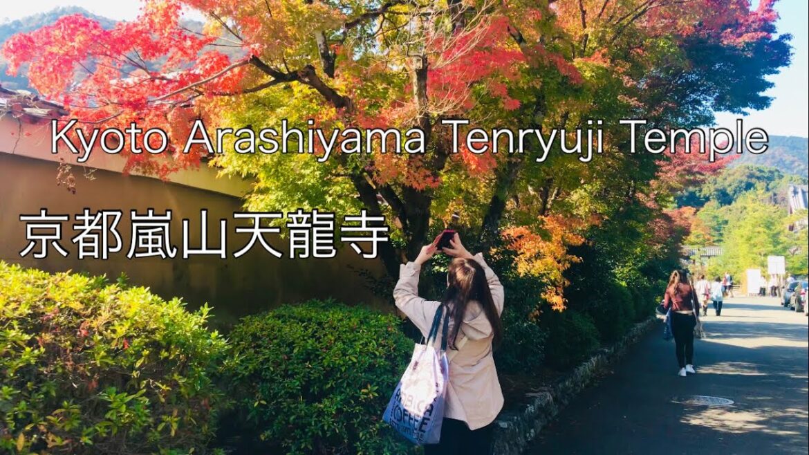 京都嵐山　紅葉の天龍寺🍁 Kyoto Arashiyama Tenryuji Temple 2022年11月12日(土)