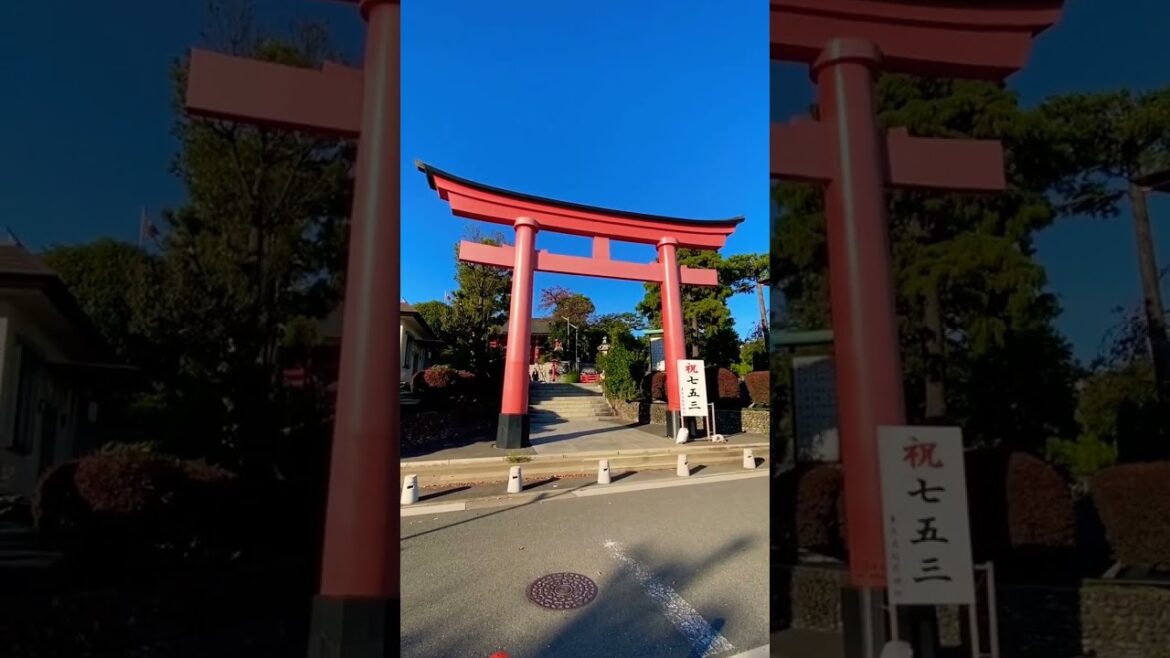 So many Torii gates! Unknown Tokyo shrine ⛩️⛩️⛩️⛩️⛩️⛩️⛩️⛩️⛩️⛩️⛩️⛩️⛩️⛩️