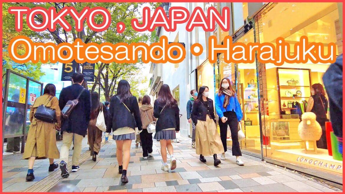 walk in Omotesando Harajuku 4K , tokyo japan
