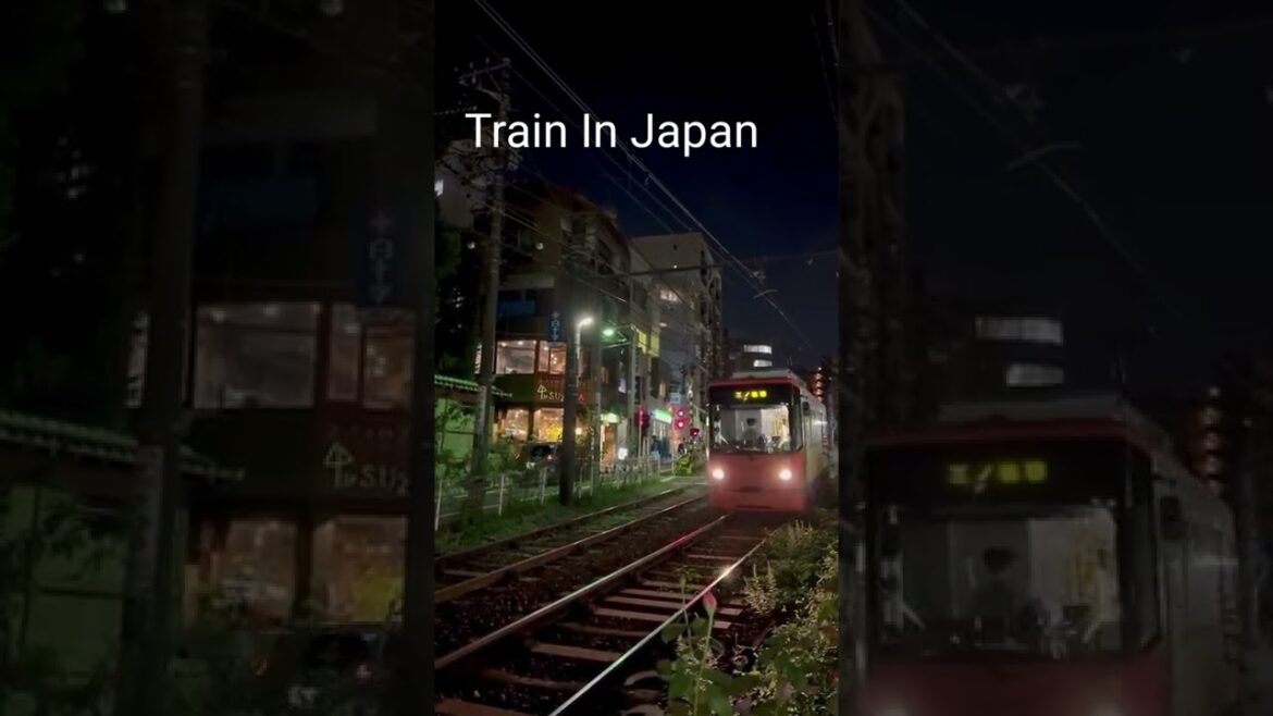 Train In Japan 😀😀😀 Japan Tour #shorts #travel #japan #train