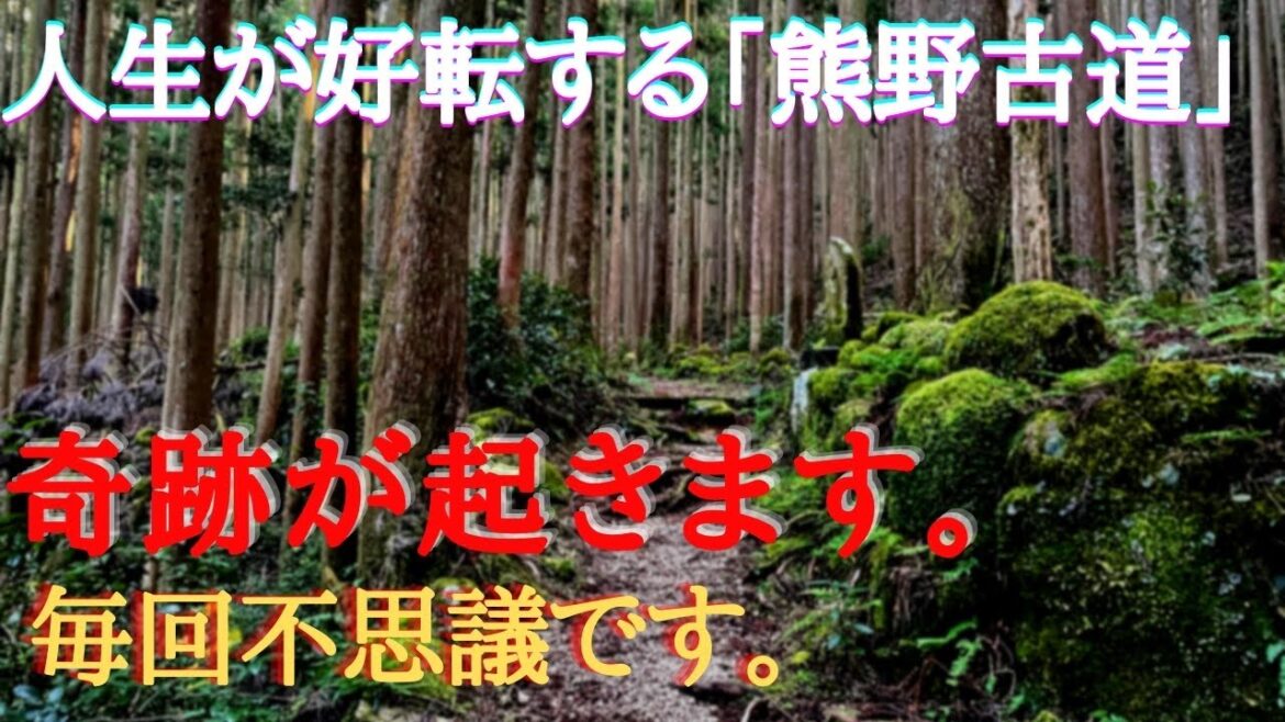 【蘇りの熊野】ラジオで生放送‼️再生した24時間後から人生の展開が激変する※聖地の波動で開運!癒しと浄化※世界遺産 【蘇りの熊野】ラジオで生放送‼️再生した24時間後から人生の展開が激変する※聖地の波動で開運!癒しと浄化※世界遺産